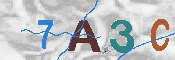 CAPTCHA Image