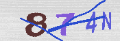 CAPTCHA Image